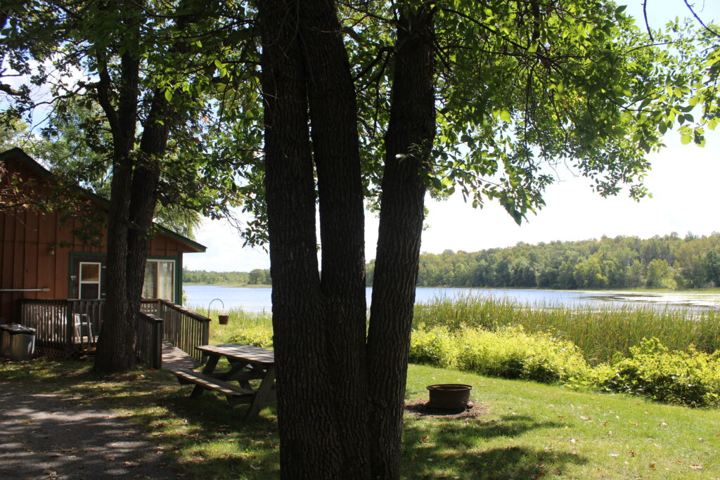 Cabin 2 Yard with Lake View